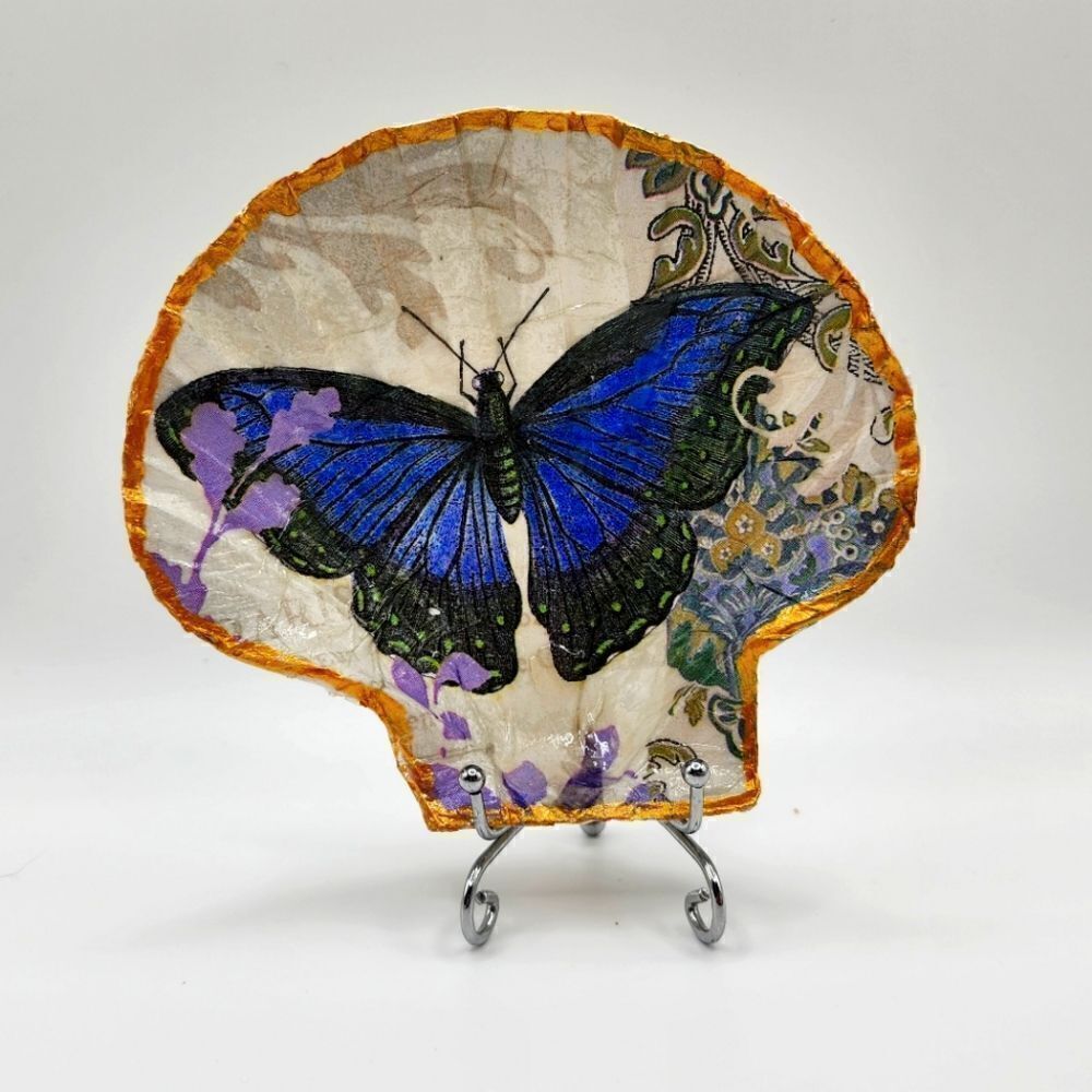 Decoupage Scalloped shell Blue Butterfly - Picture 1 of 1
